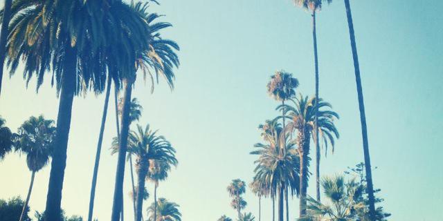 Alexxz's profile banner image