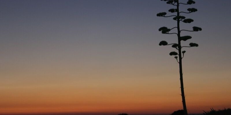 suherrero's profile banner image
