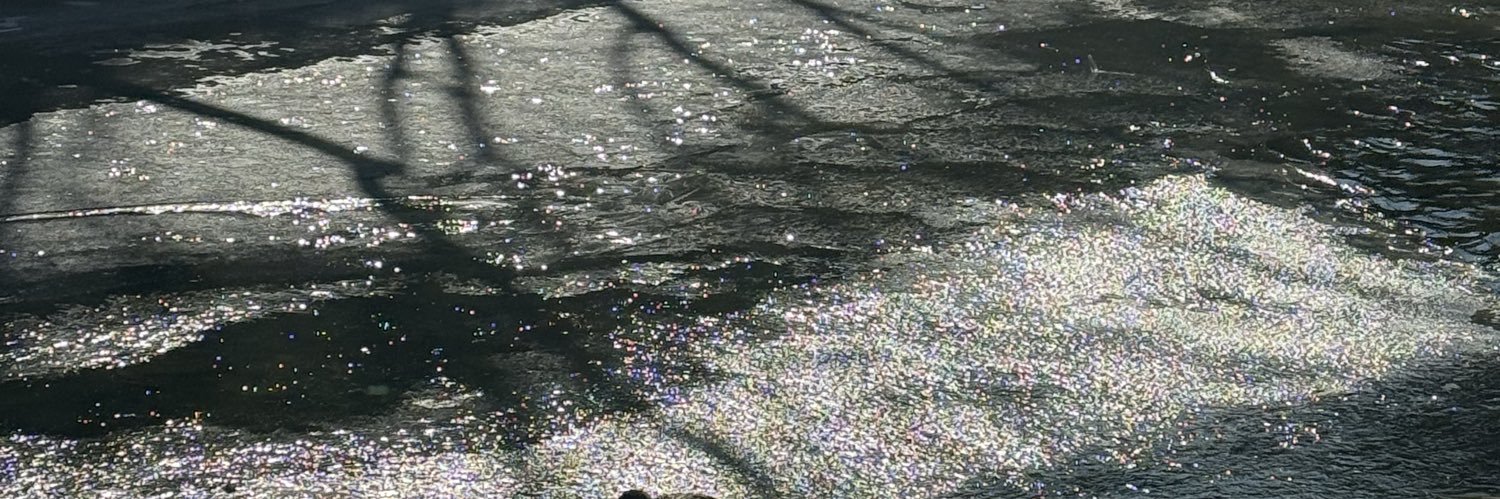 emilyrhkh's profile banner image