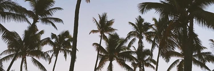 brielley's profile banner image