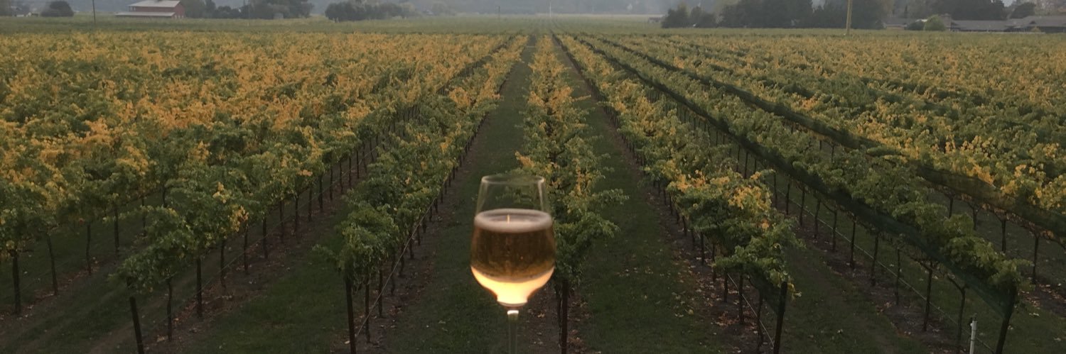 Meaghan C. Tiernan banner