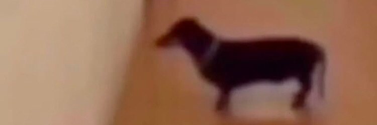 Eaterofsecretstrogen banner