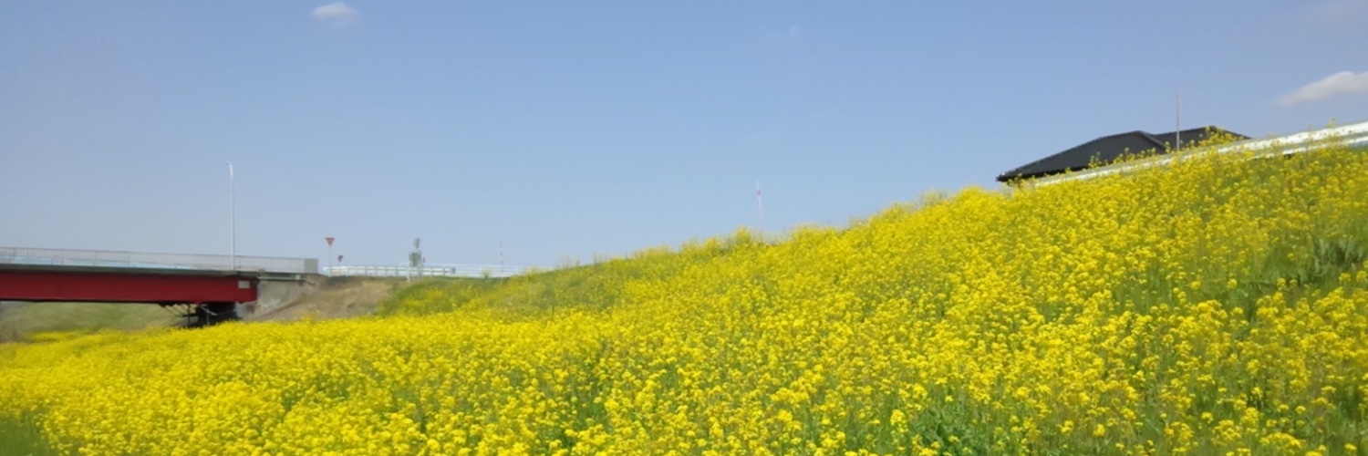 坂東　忠信's banner