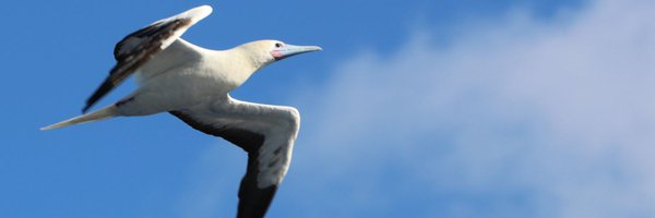 kitplus Profile Banner