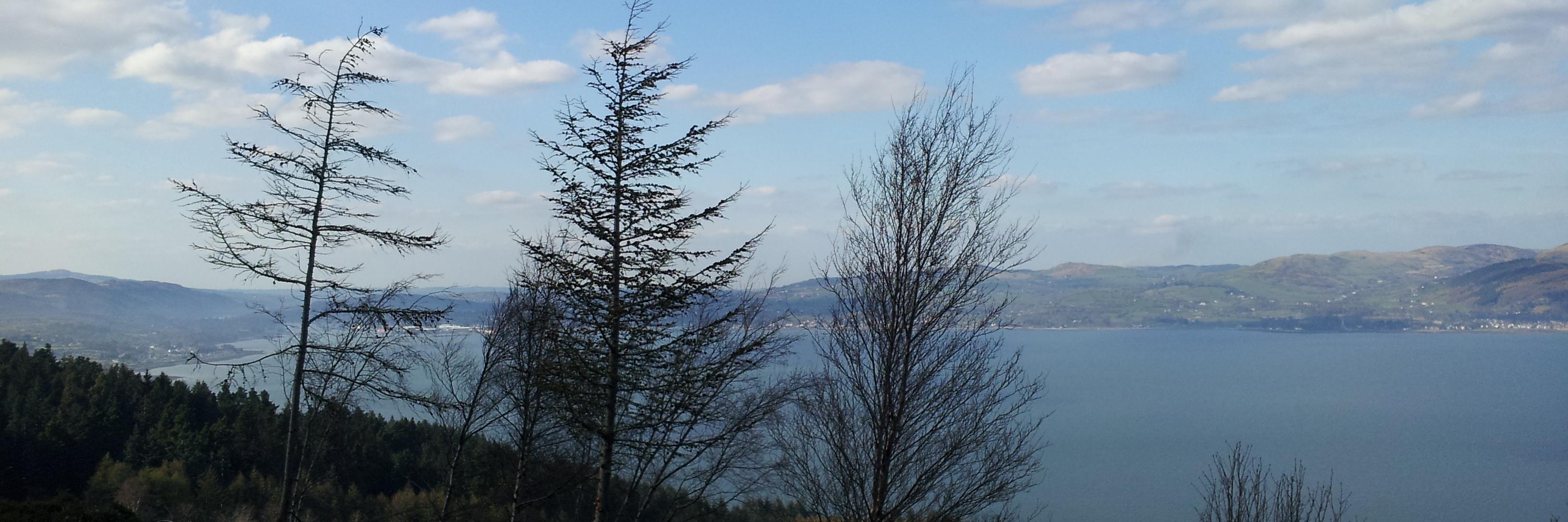 CormacMcAdam's profile banner image