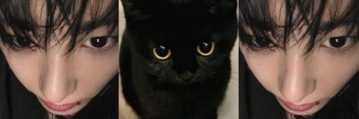 taevroza's profile banner image