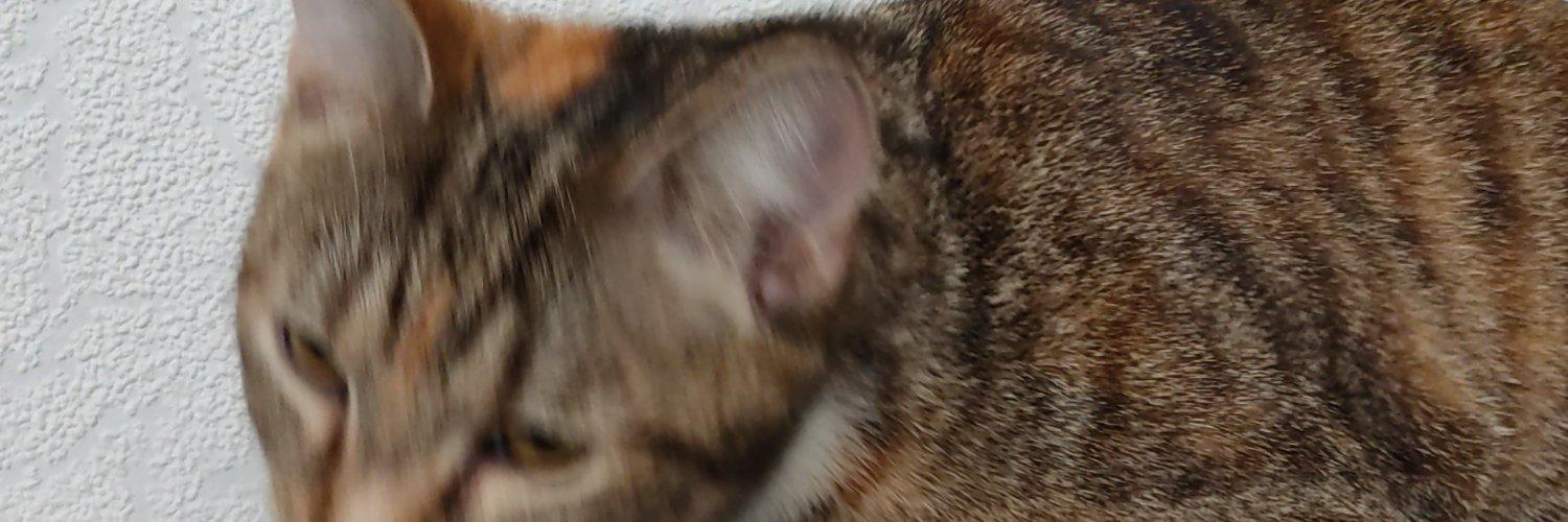 Pedro3pw2's profile banner image