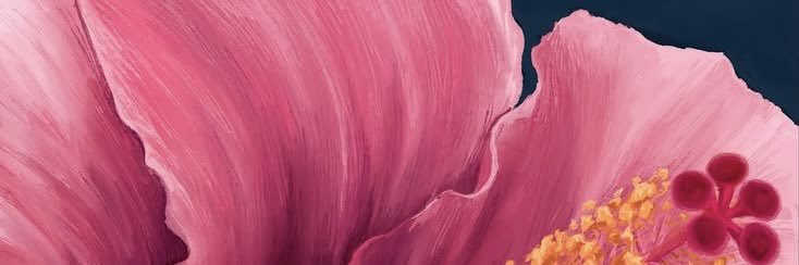 bjuliatz's profile banner image