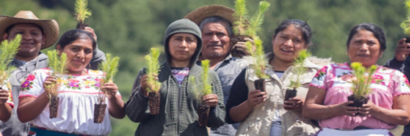 Global Grassroots banner