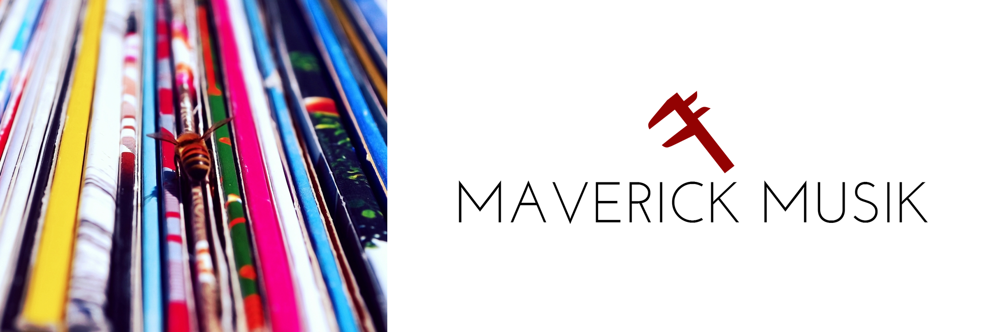 maverickfox2's profile banner image