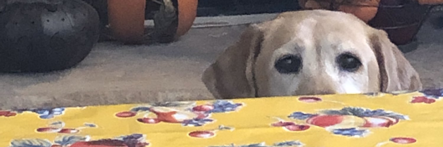 daivygrl's profile banner image