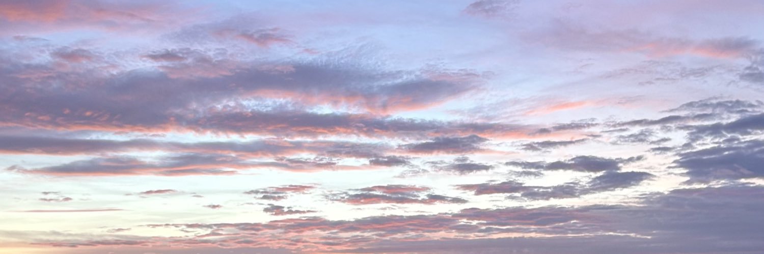 ellie bond banner