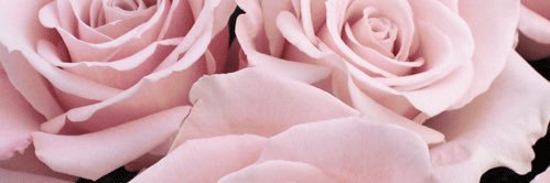 Flauschiexx3's profile banner image