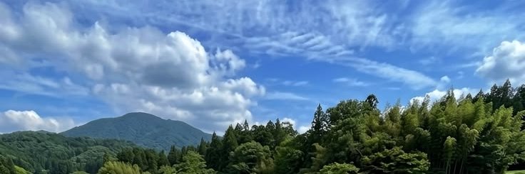 hwukhv's profile banner image