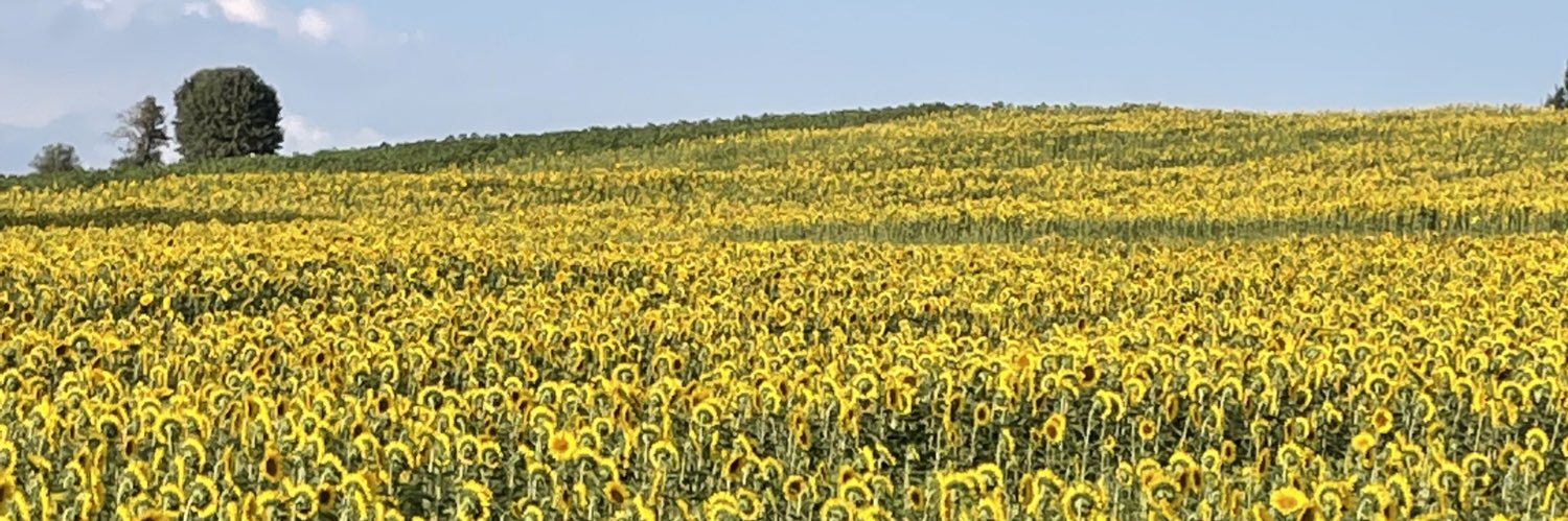 brcanalysis's profile banner image