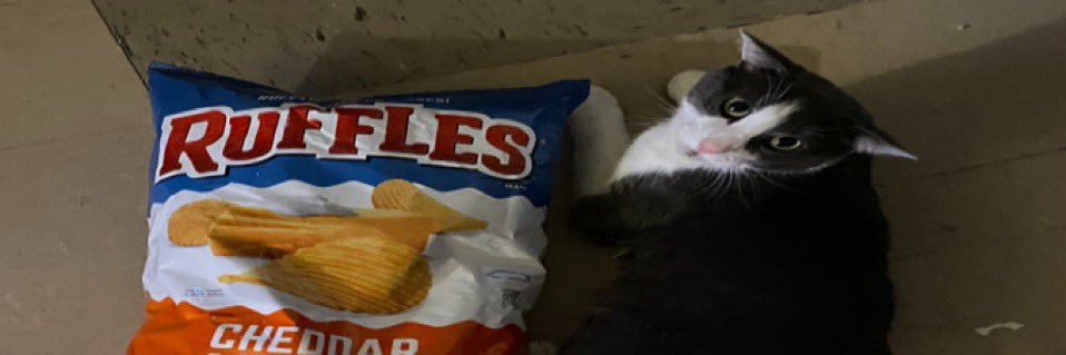 Maddcattzz's profile banner image