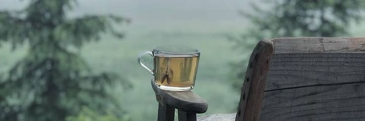 gardenandink's profile banner image