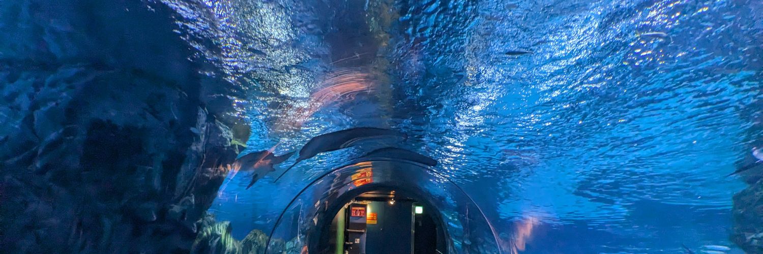 あすべる@ banner