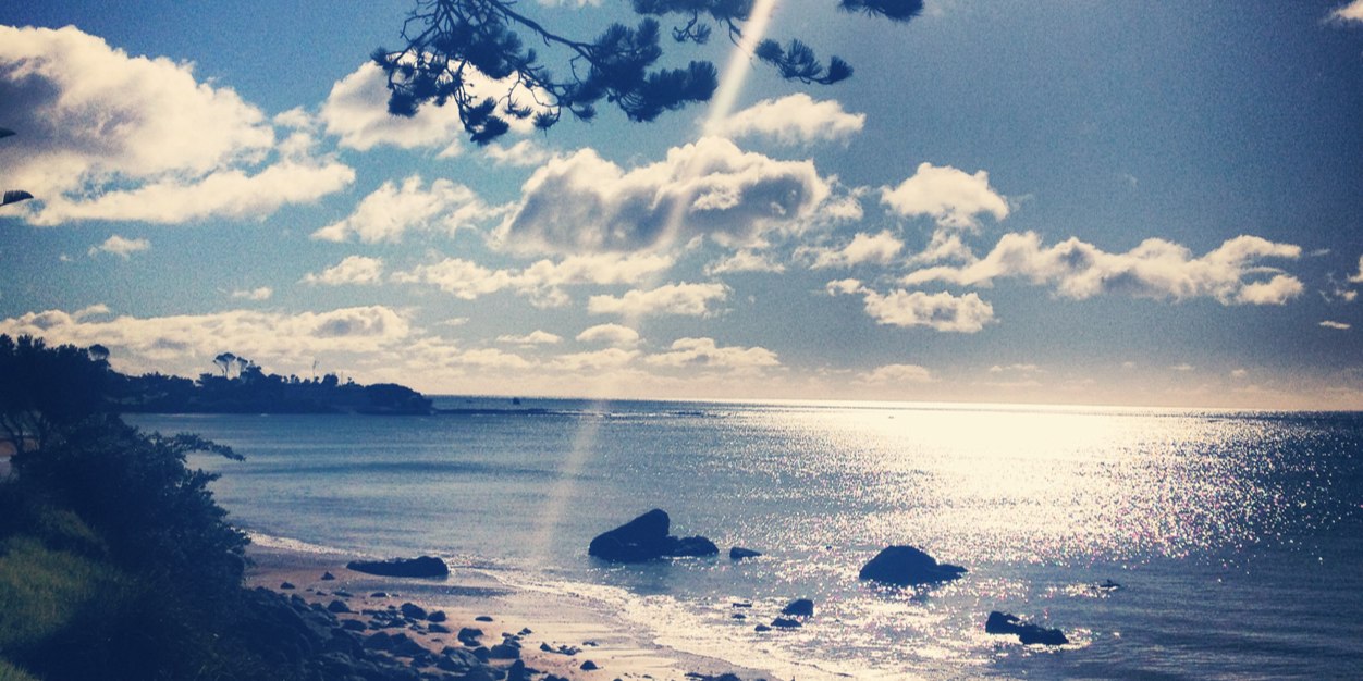 Sarah_Essoof's profile banner image
