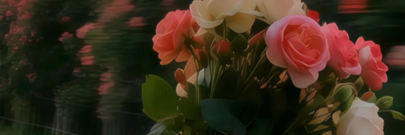 liujia2378's profile banner image
