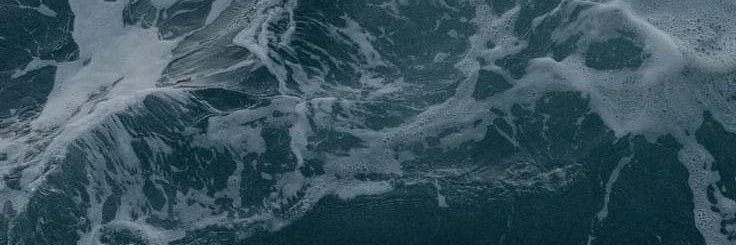 citizenwasp's profile banner image