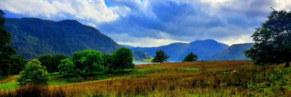 katngill Profile Banner