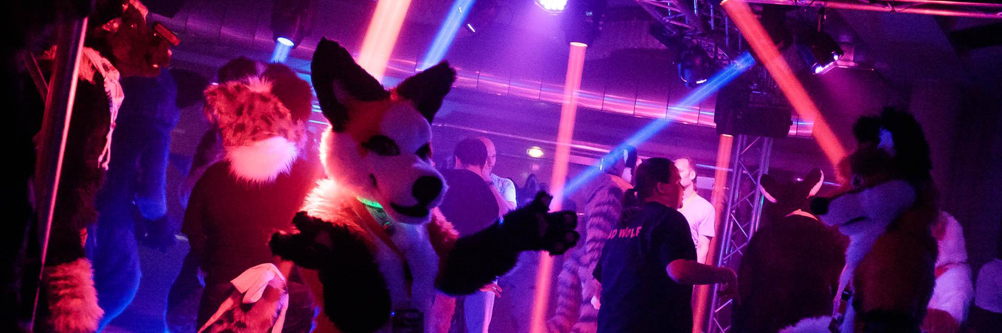 colognefurdance's profile banner image