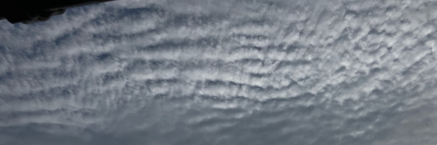 Mike_D8221's profile banner image