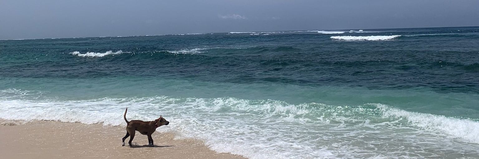 ivandybr_'s profile banner image