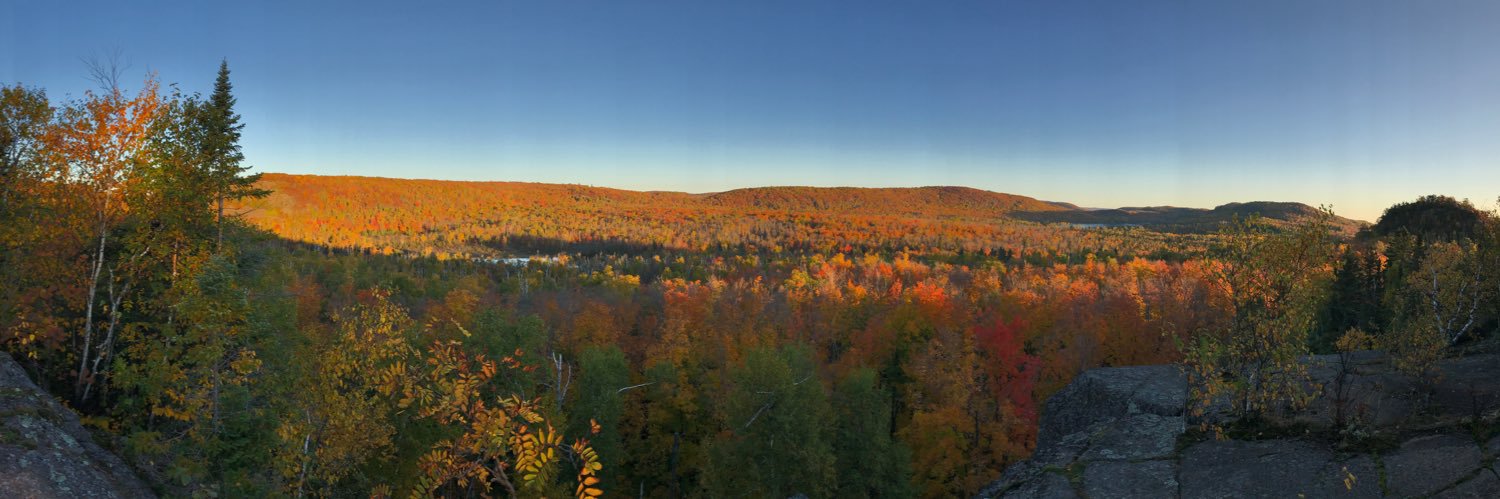 Patrick Morgan, MD, FAOA banner