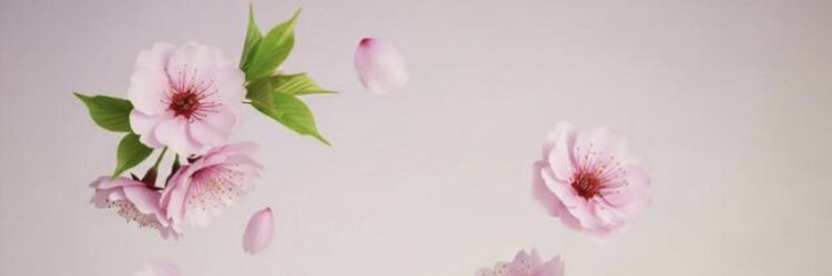 millielingerie's profile banner image