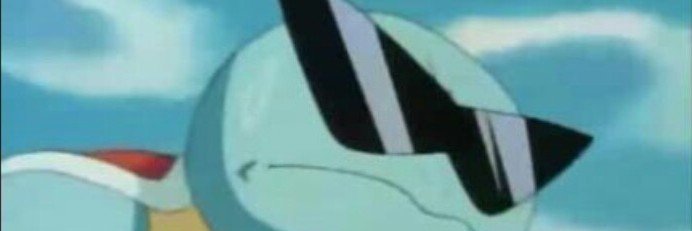 squirtledance's profile banner image