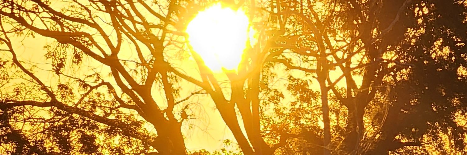 jorortiz's profile banner image