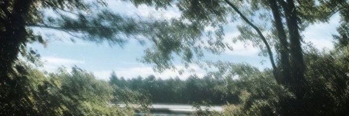 lvvboi's profile banner image