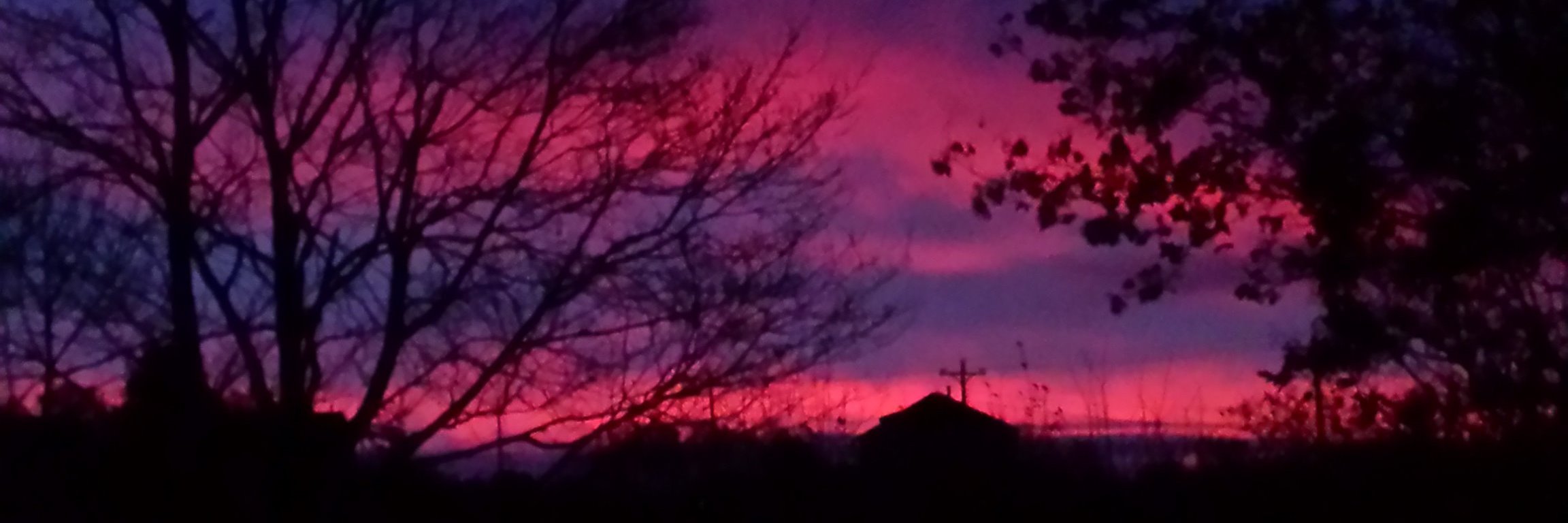 Elizabeth Perry banner