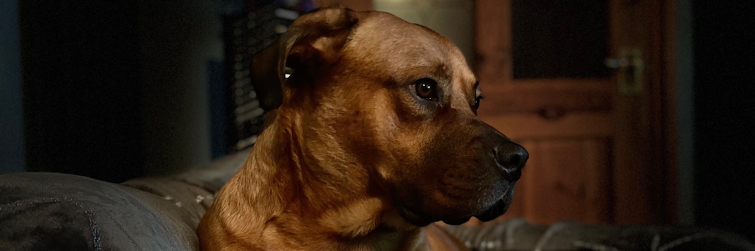 Burchy68's profile banner image