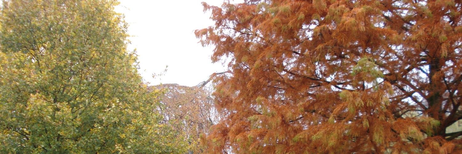 irmaanintya's profile banner image