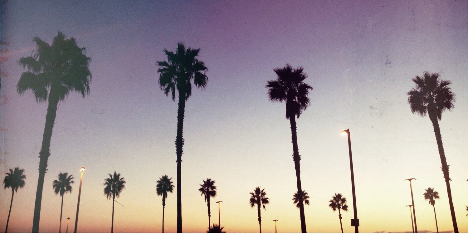 ___hols's profile banner image