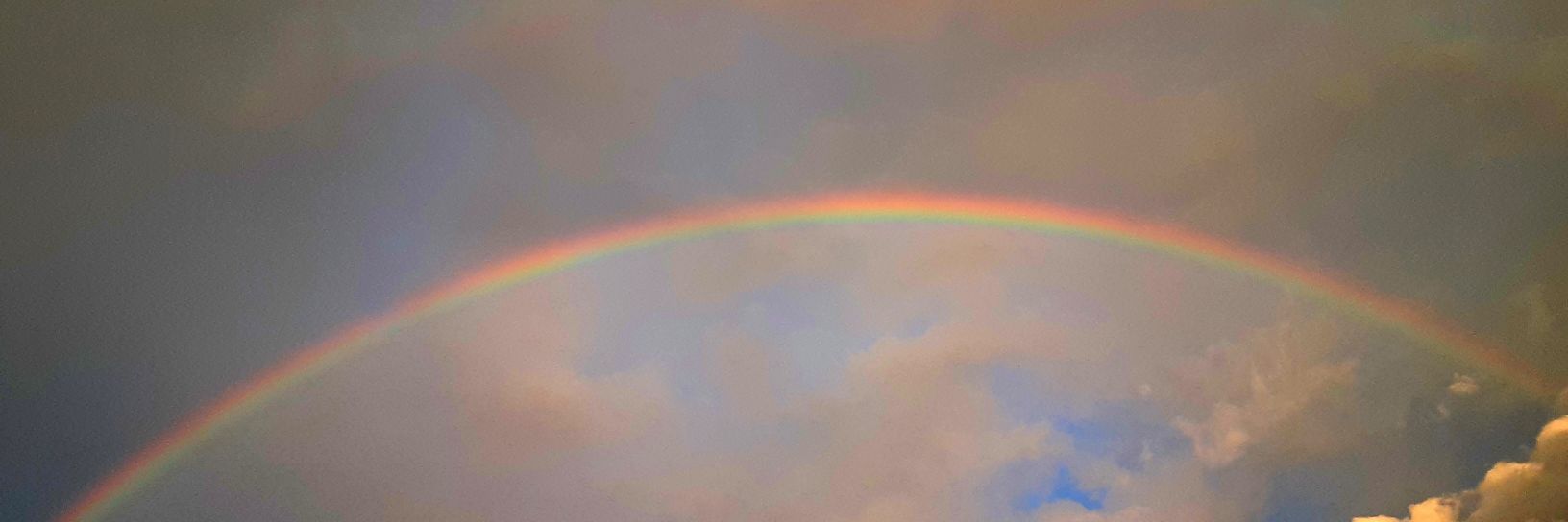 Life Power Quotes banner