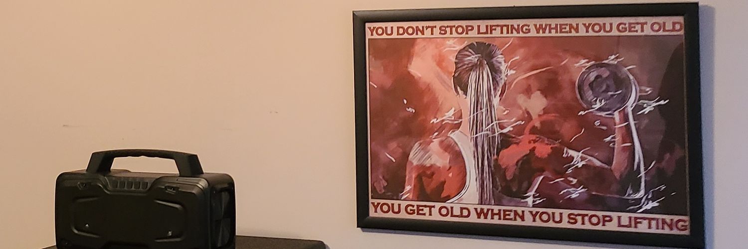 🇺🇲Lisa Robertson Gadd🇺🇲 banner