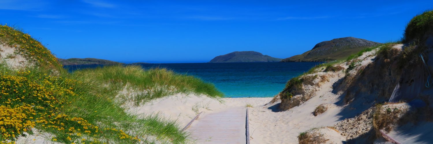 David Farrell banner