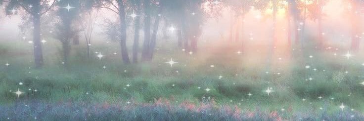 foid2fawn's profile banner image