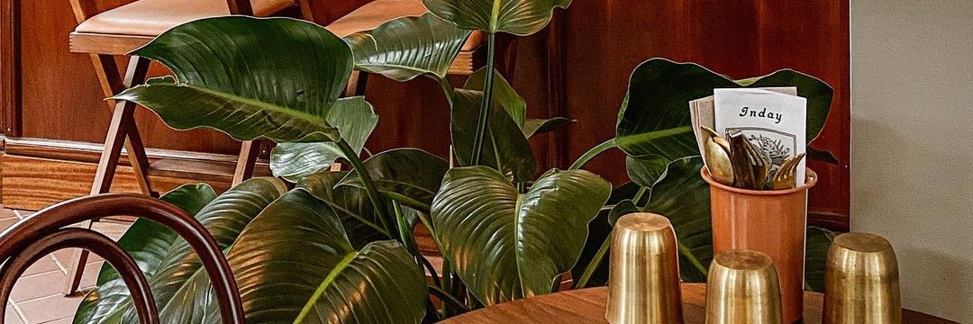 Na_db_dh's profile banner image