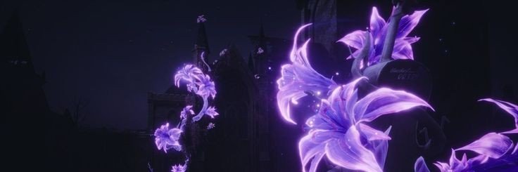 mkl2bn's profile banner image