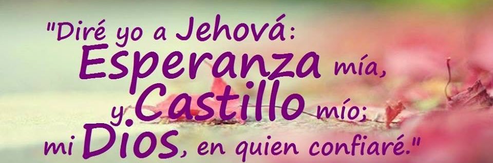 jessvilchez's profile banner image