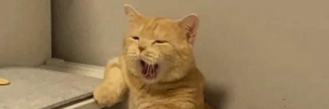 LLaofesy's profile banner image