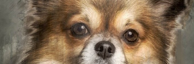 geredeloglu's profile banner image