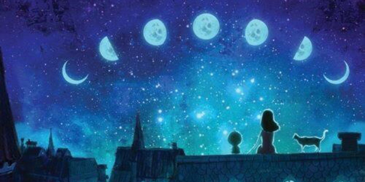 fernandabose's profile banner image