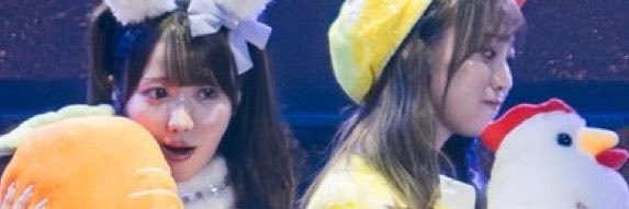 harushoco1548's profile banner image