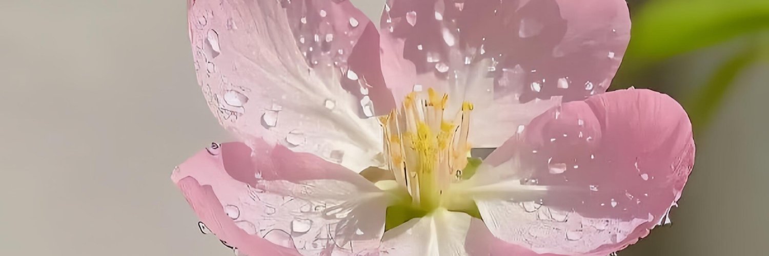 prettyaliby's profile banner image